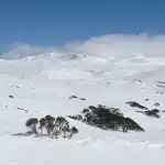 Does it snow in Australia? Yes it does!