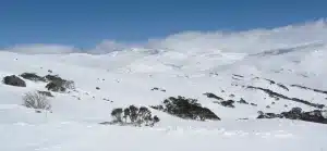 Does it snow in Australia? Yes it does!