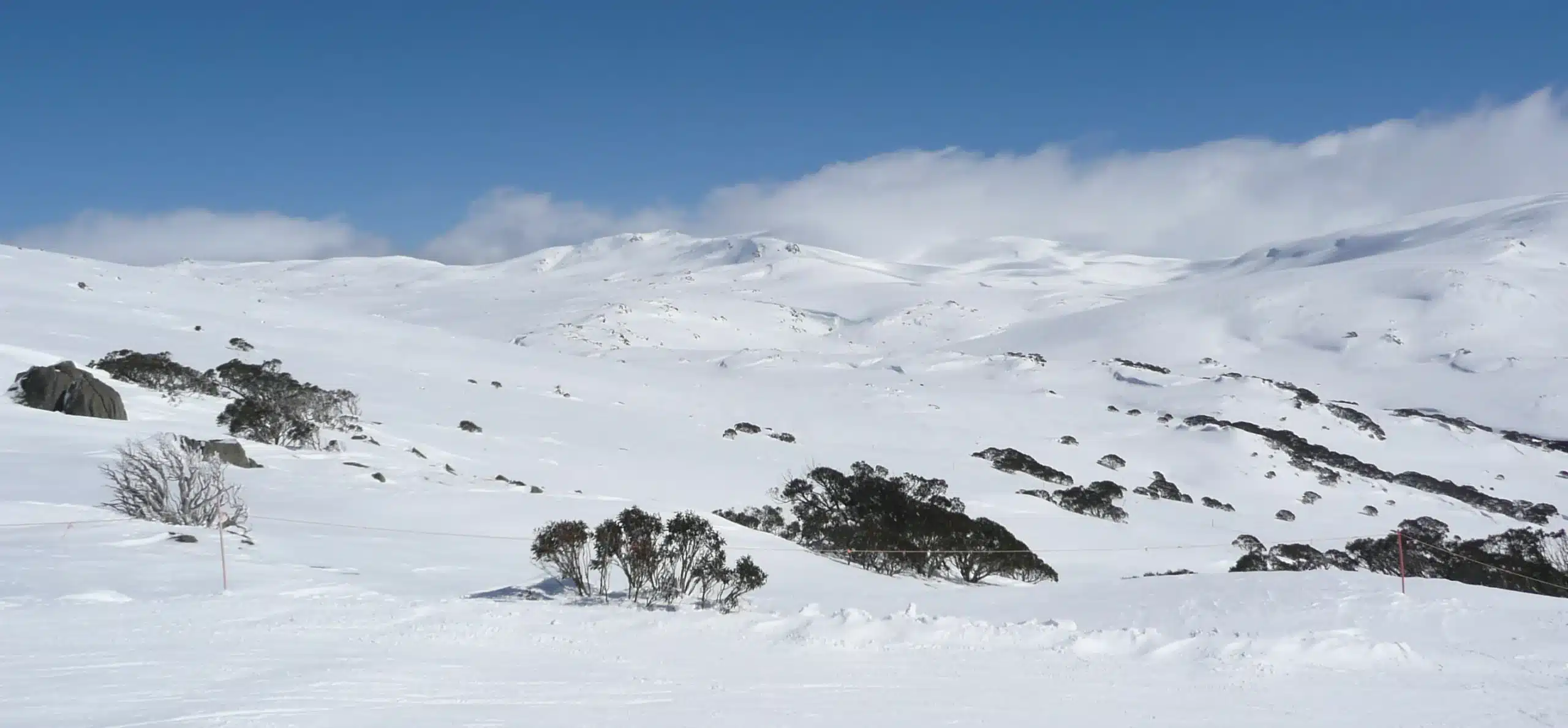 Does it snow in Australia? Yes it does!