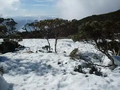 Snow in Australia